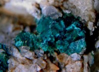 /album/galerie-photos/camel-malachite-10919-mod2-jpg1/